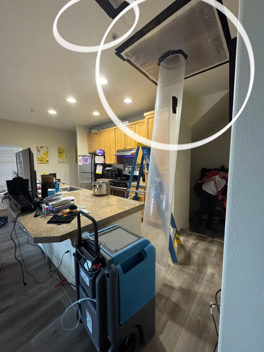 Water damage — Vital Restoration Portland Metro job